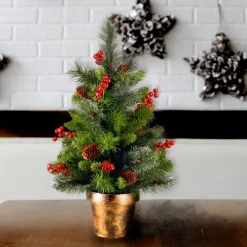 2 ft. Crestwood Spruce Tree