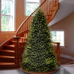 10 ft. Dunhill Fir Tree