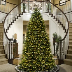 14 ft. Dunhill Fir Tree