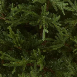 7.5 ft. Fraser Grande Tree