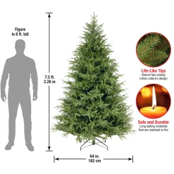 7.5 ft. Fraser Grande Tree