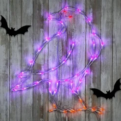 2 ft. Halloween Raven Lighted Sign Decoration with LED Lights