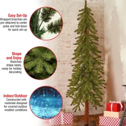 5 ft. Hickory Cedar Tree