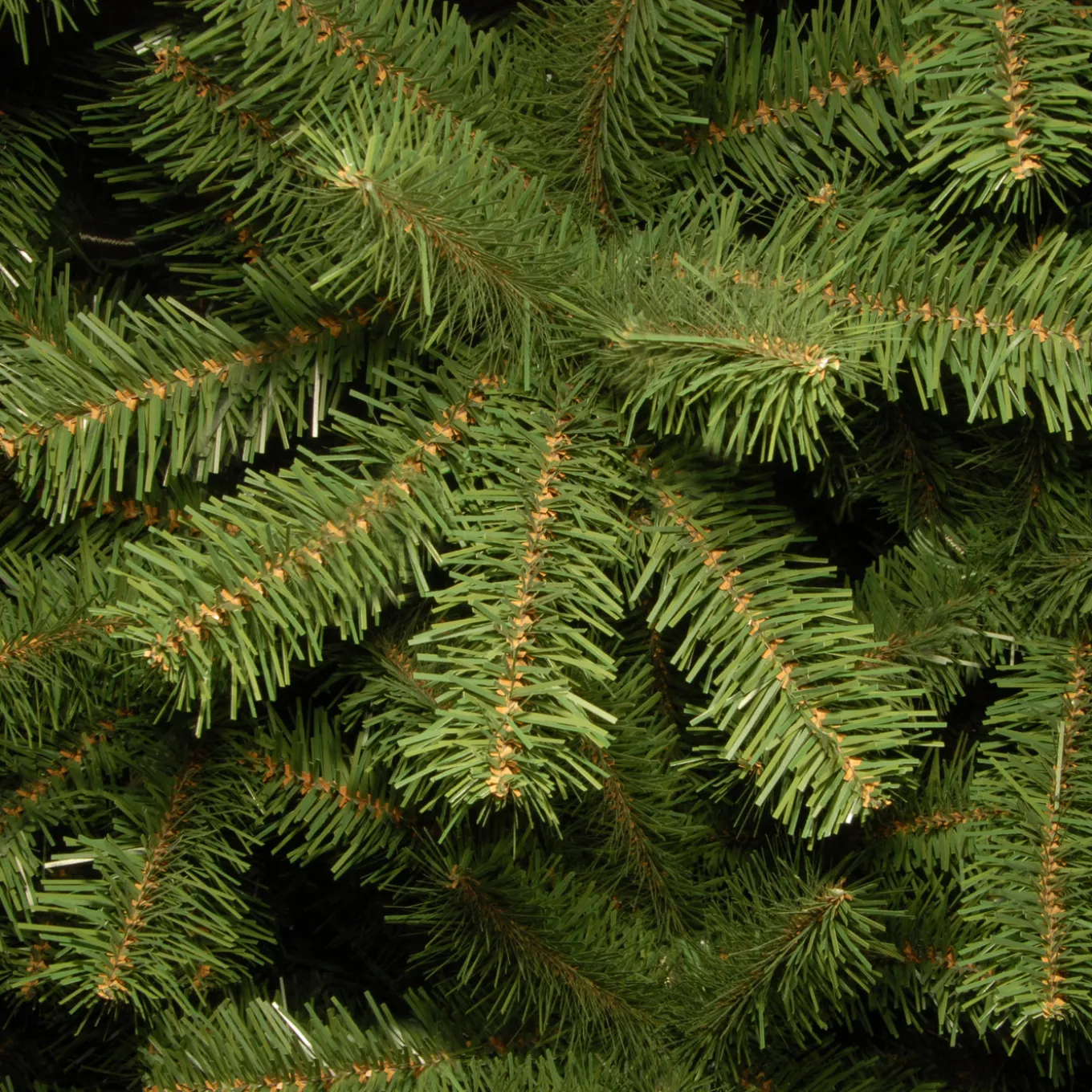 9 ft. North Valley Spruce Pencil Slim Tree