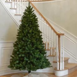 7 ft. North Valley Spruce Tree
