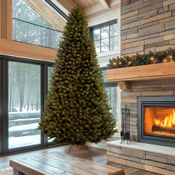 16 ft. North Valley Spruce Tree