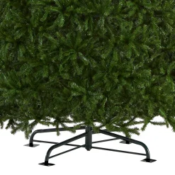 16 ft. North Valley Spruce Tree