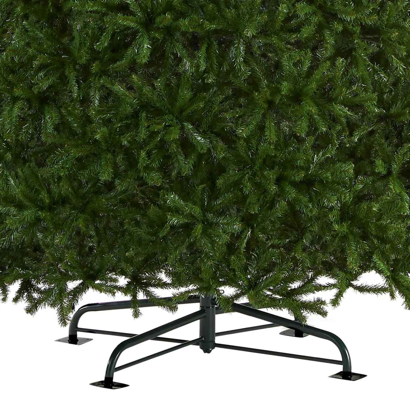 16 ft. North Valley Spruce Tree