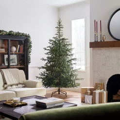 7.5 ft. Norwegian Spruce Tree