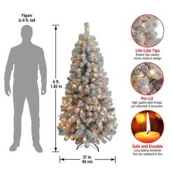 6 ft. Pre-Lit Acacia Flocked Tree with Clear Lights