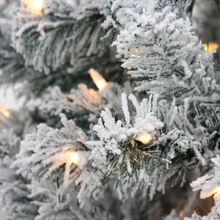 6 ft. Pre-Lit Acacia Flocked Tree with Clear Lights