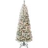 6 ft. Pre-Lit Acacia Medium Flocked Tree with Clear Lights