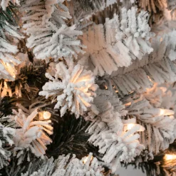 6 ft. Pre-Lit Acacia Medium Flocked Tree with Clear Lights