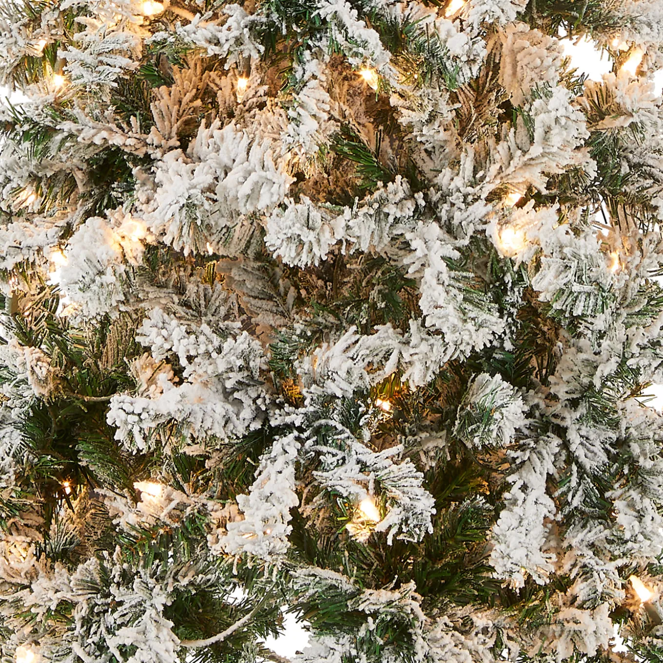 6 ft. Pre-Lit Acacia Medium Flocked Tree with Clear Lights