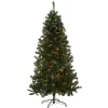 6 ft. Pre-Lit Acacia Tree with Clear Lights