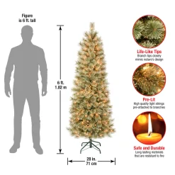 6 ft. Pre-Lit Arcadia Pine Cashmere Slim Tree with Clear Lights