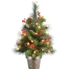 2 ft. Pre-Lit Crestwood Spruce Tree with Clear Lights