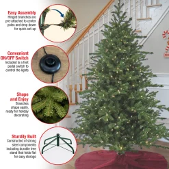 10 ft. Pre-Lit Douglas Fir Hinged Tree with Warm White LED Lights