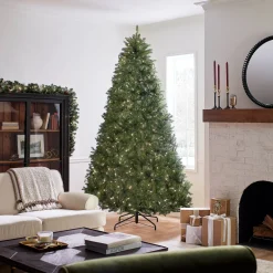 9 ft. Pre-Lit Dunhill Fir Tree with PowerConnect Clear Lights