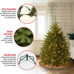 4 ft. Pre-Lit Dunhill Fir Tree with Clear Lights