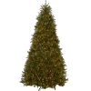 10 ft. Pre-Lit Dunhill Fir Tree with Clear Lights
