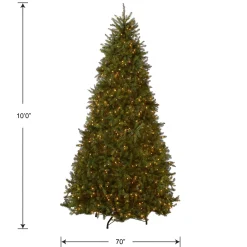 10 ft. Pre-Lit Dunhill Fir Tree with Clear Lights