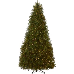 10 ft. Pre-Lit Dunhill Fir Tree with Dual Color LED Lights