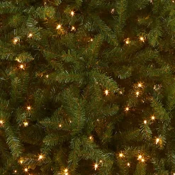 12 ft. Pre-Lit Dunhill Fir Tree with Clear Lights