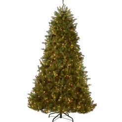 9 ft. Pre-Lit Dunhill Fir Tree with 900 Clear Lights