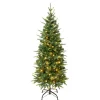4.5 ft. Pre-Lit Duxbury Light Green Slim Tree with Warm White LED Lights