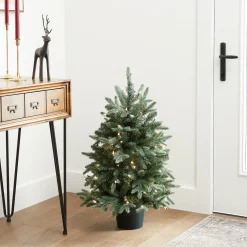 3 ft. Pre-Lit Everyday Collection Tree with Clear Lights