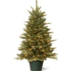 3 ft. Pre-Lit Everyday Collection Tree with Clear Lights