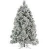 7.5 ft. Pre-Lit Flocked Bavarian Pine Tree