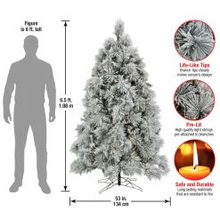 6.5 ft. Pre-Lit Flocked Bavarian Pine Tree