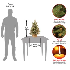 2 ft. Pre-Lit Glittery Bristle Tree with LED Lights