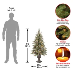 4 ft. Pre-Lit Glittery Bristle Tree with Clear Lights