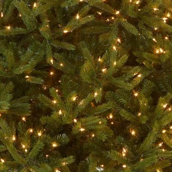 6.5 ft. Pre-Lit Jersey Fraser Fir Medium Tree with Clear Lights