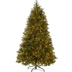 6.5 ft. Pre-Lit Jersey Fraser Fir Medium Tree with Clear Lights