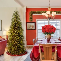 6.5 ft. Pre-Lit Kingswood Fir Pencil Tree with Clear Lights