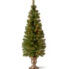 5 ft. Pre-Lit Montclair Spruce Slim Tree with Clear Lights
