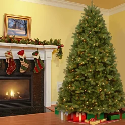 6 ft. Pre-Lit Newberry Spruce Tree with Clear Lights