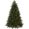 7.5 ft. Pre-Lit Princeton Fraser Fir Tree with PowerConnect and 800 Dual Color LED Lights