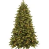 7.5 ft. Pre-Lit Princeton Fraser Fir Tree with PowerConnect and 1000 Dual Color LED Lights