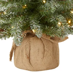 2 ft. Pre-Lit Snowy Concolor Fir Tree with LED Lights