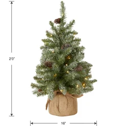 2 ft. Pre-Lit Snowy Concolor Fir Tree with LED Lights