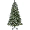 7.5 ft. Pre-Lit Snowy Conconully Tree with LED Lights