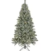 9 ft. Pre-Lit Snowy Harwich Hinged Tree with PowerConnect Warm White LED Lights