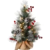 2 ft. Snowy Glacier Pine Tree with Warm White LED Lights