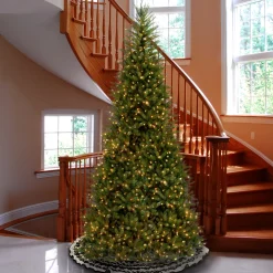 10 ft.Pre-Lit Dunhill Fir Slim Tree with Clear Lights
