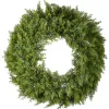 24 in. Arborvitae Wreath
